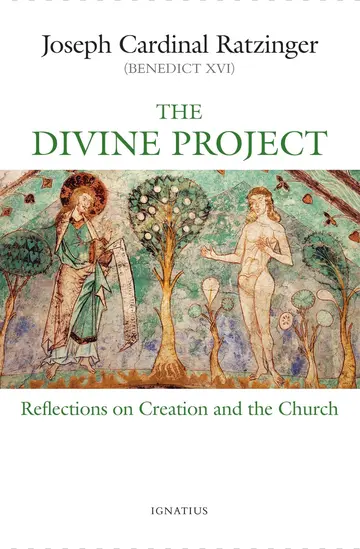 Cover of Divine Project