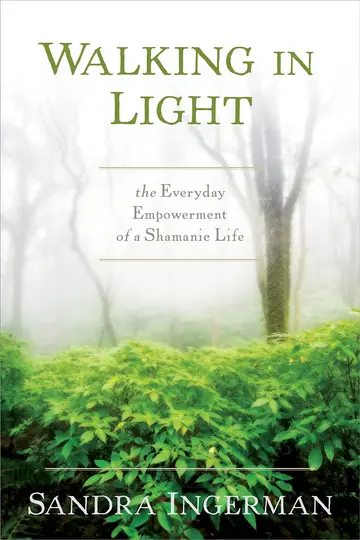 Cover of Walking in Light