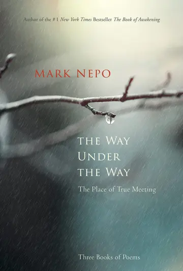 Cover of The Way Under the Way