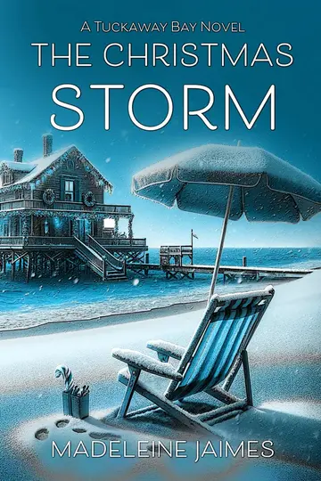 Cover of The Christmas Storm