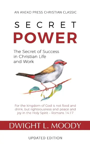 Cover of Secret Power