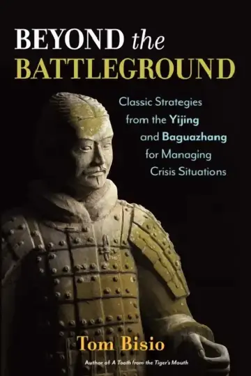 Cover of Beyond the Battleground