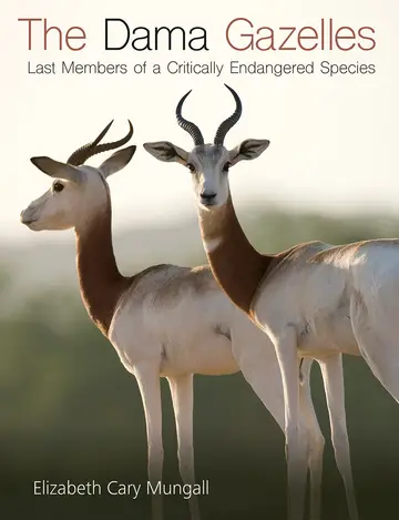 Cover of The Dama Gazelles