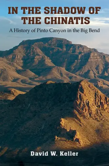 Cover of In the Shadow of the Chinatis