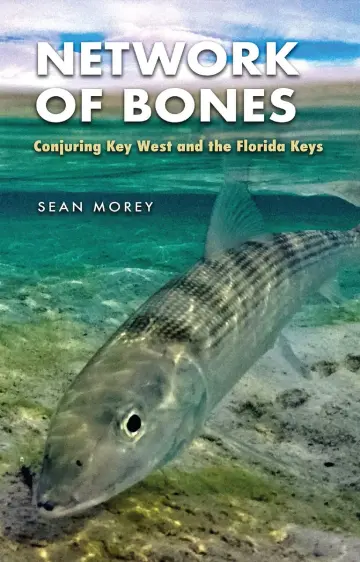 Cover of Network of Bones
