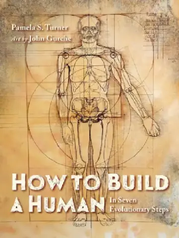 Cover of How to Build a Human
