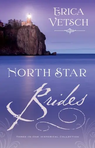 Cover of North Star Brides
