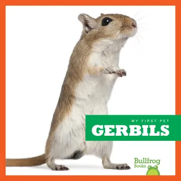 Cover of Gerbils