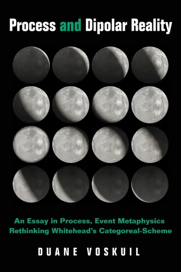 Cover of Process and Dipolar Reality