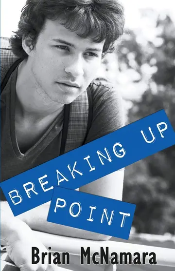 Cover of Breaking up Point