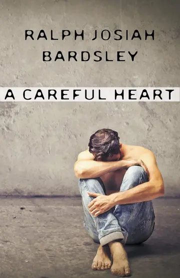 Cover of A Careful Heart