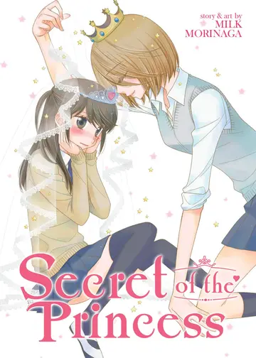Cover of Secret of the Princess