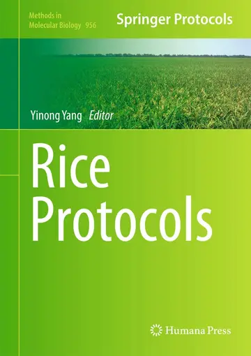 Cover of Rice Protocols