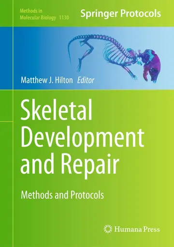 Cover of Skeletal Development and Repair