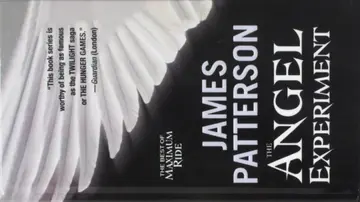 Cover of The Angel Experiment