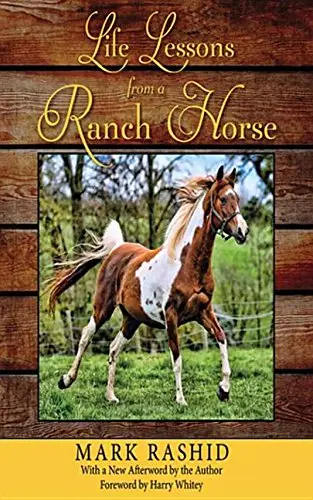 Cover of Life Lessons from a Ranch Horse
