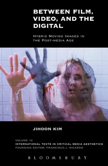 Cover of Between Film, Video, and the Digital