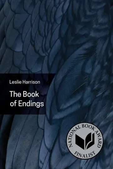 Cover of The Book of Endings