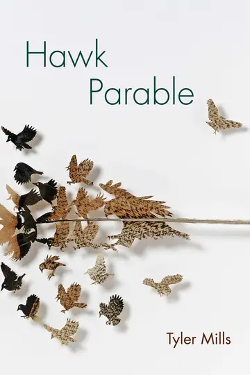 Cover of Hawk Parable