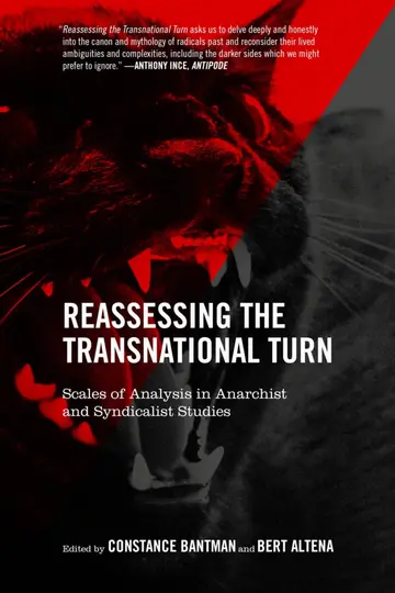Cover of Reassessing the Transnational Turn