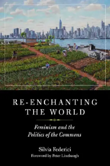 Cover of Re-Enchanting the World