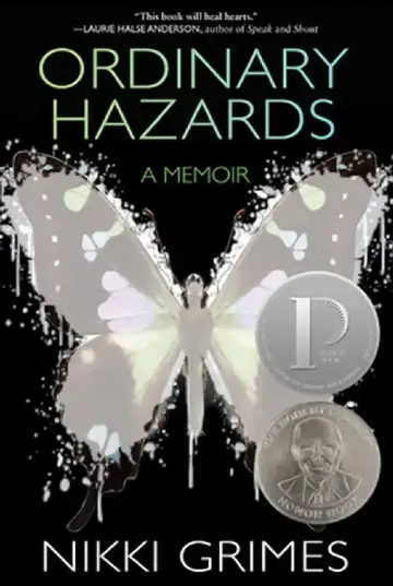 Cover of Ordinary Hazards