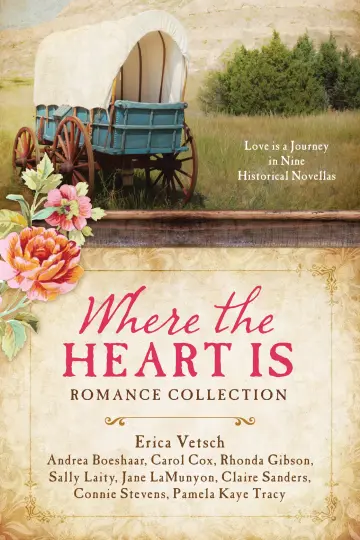 Cover of The Quilt Chronicles