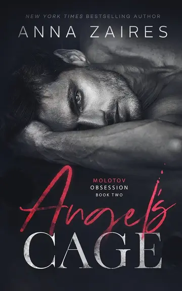 Cover of Angel's Cage