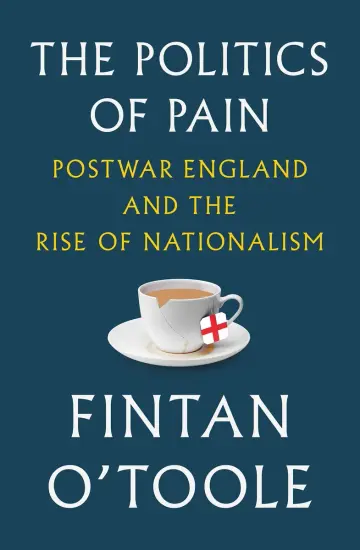 Cover of The Politics of Pain