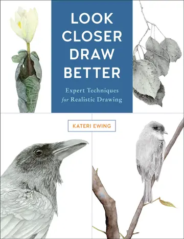 Cover of Look Closer, Draw Better