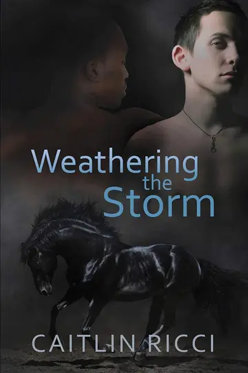 Cover of Weathering the Storm Volume 1