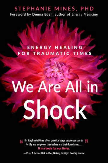Cover of We are All in Shock