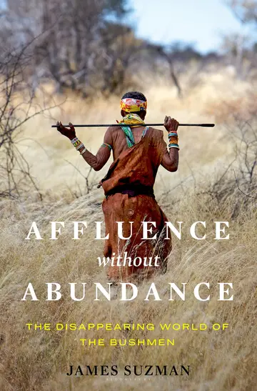 Cover of Affluence Without Abundance