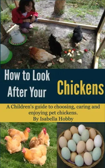 Cover of How to look after your Chickens