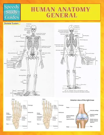 Cover of Human Anatomy General