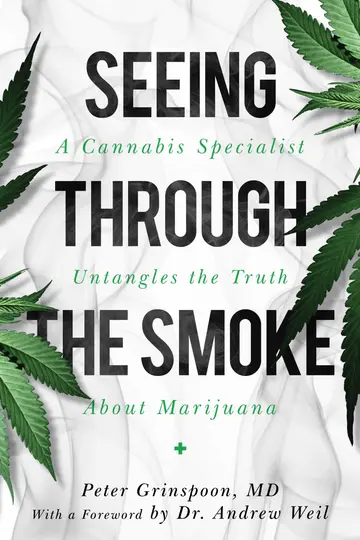 Cover of Seeing through the Smoke