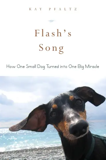 Cover of Flash's Song