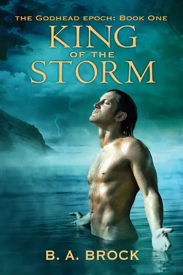 Cover of King of the Storm Volume 1
