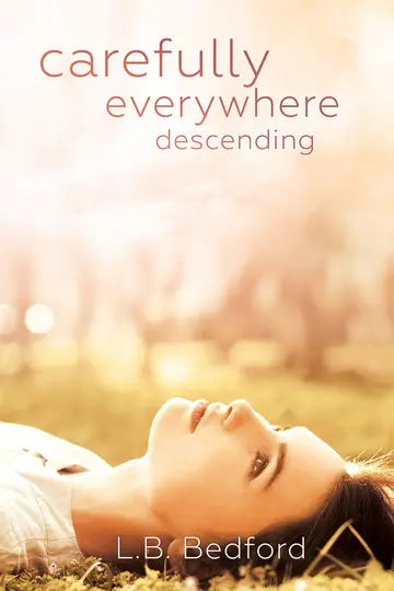 Cover of Carefully Everywhere Descending