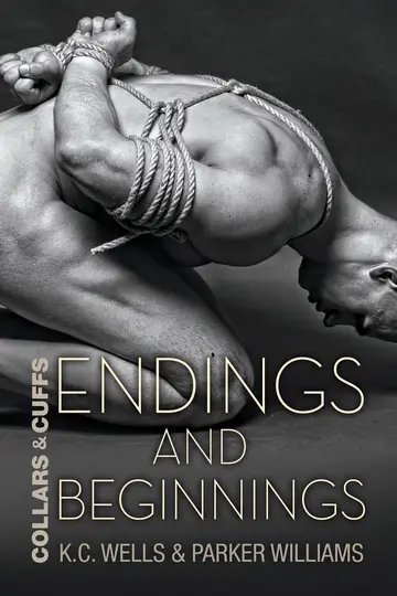 Cover of Endings and Beginnings Volume 8