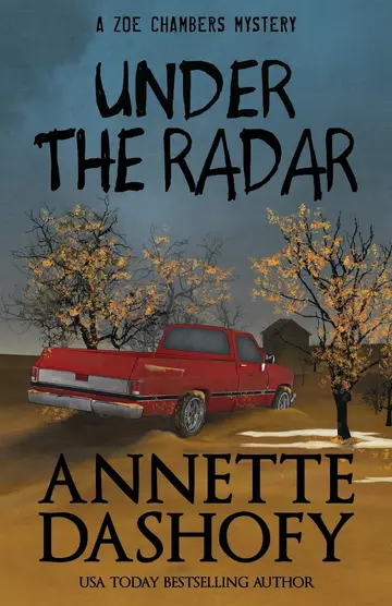 Cover of Under the Radar