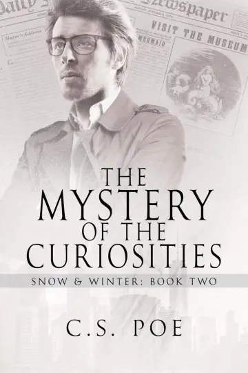 Cover of The Mystery of the Curiosities