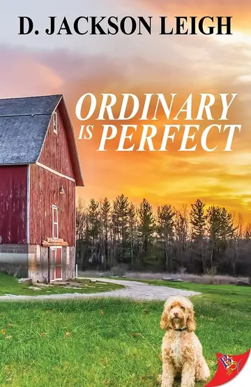 Cover of Ordinary Is Perfect