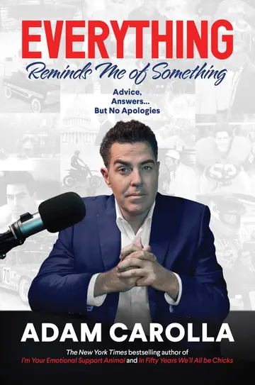 Cover of Everything Reminds Me of Something