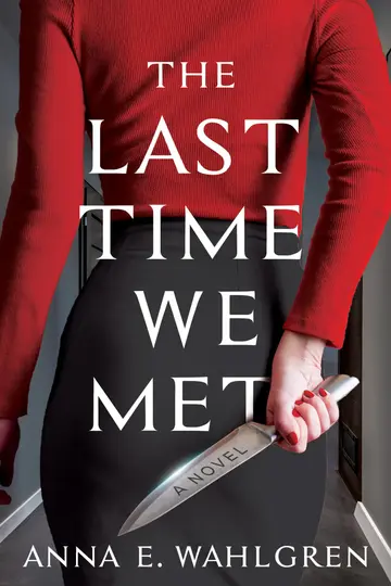 Cover of The Last Time We Met