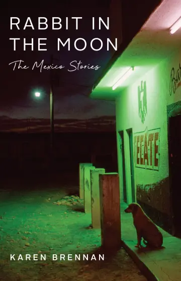 Cover of Rabbit in the Moon