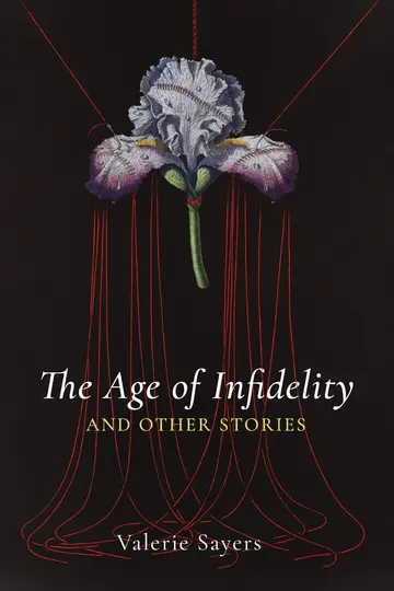 Cover of Age of Infidelity and Other Stories