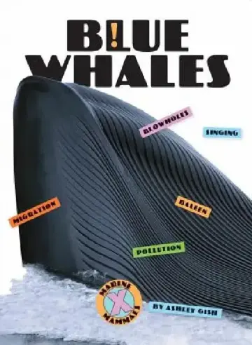 Cover of Blue Whales