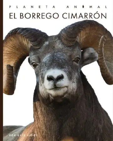 Cover of El Borrego Cimarrón
