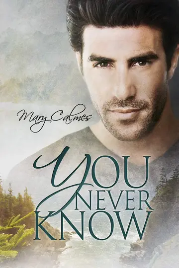 Cover of You Never Know